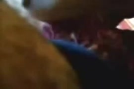 اغتصاب بنت بنوت مصر ية سكس